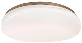 Rabalux 75053 - LED fürdőszobai mennyezeti lámpatest CALIOPE LED/24W/230V IP44 átmérő 41 cm 75053