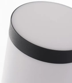 Rabalux 8147 - Kültéri lámpa BLACK TORCH 1xE27/25W/230V IP44