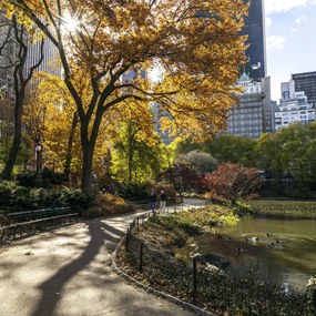 Poszter 40x40cm Ösvény a központi parkon át 5, Assaf Frank