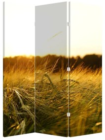 Paraván - Harmatos fű (126x170 cm)