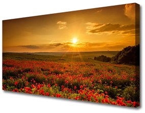 Vászonkép Szakterület Pipacsok Sunset Meadow 140x70 cm