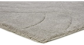 Világosszürke szőnyeg 160x230 cm Molier – Universal