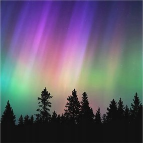 Fotótapéta Fali ragasztó szett Varázslatos égbolt 250x250 Ragasztó