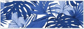 Fotótapéták 312x104 Classic Blue Monstera