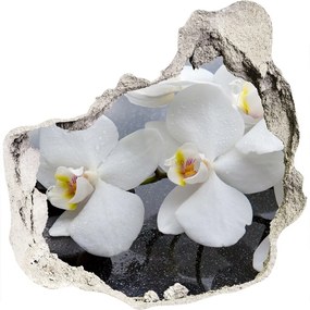 Fali matrica lyuk a falban Orchidea nd-p-144310520