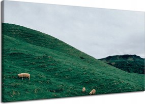 Vászonkép Természet Legelő Bárányok Hegyek 120x70