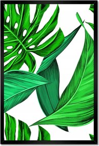 Poszterek keretben 40x60 Zamatos Monstera Trópusok