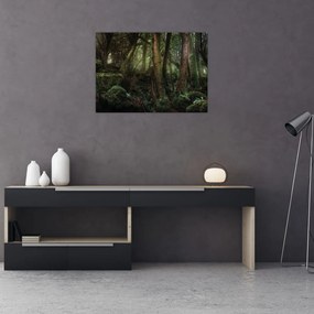 Kép - Titokzatos erdő (70x50 cm)