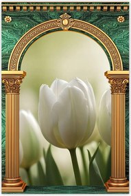 Poszterek 40x60 Fehér tulipánok