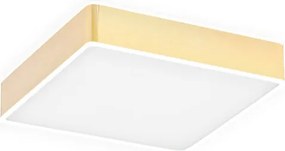 ARGON 4051 ATLANTIS Négyzetes Mennyezeti Lámpa Fehér, Arany LED IP20