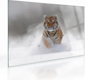 Futó tigris a hóban képe (üvegen) (70x50 cm)