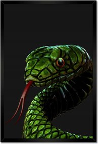 Poszterek keretben 40x60 Óriás zöld kígyó