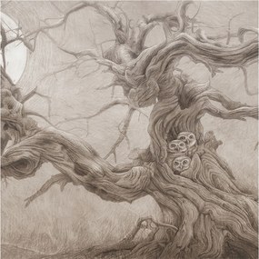 Fotótapéta Flizelina Nappali és Hálószoba Éjjeli madarak 250x250 Ragasztó