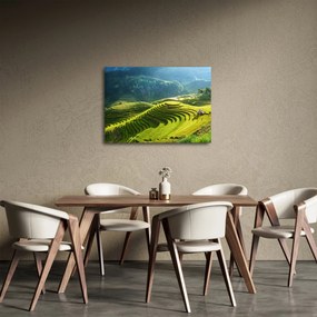 Kép - Rice Terraces koncert (70x50 cm)