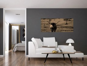 Kép - Texasi tehén (120x50 cm)