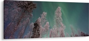 Az aurora borealis képe fagyos fák felett (120x50 cm)