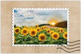 Poszterek 120x80 Tájkép Napraforgók