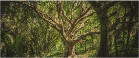 Fa képe (120x50 cm)