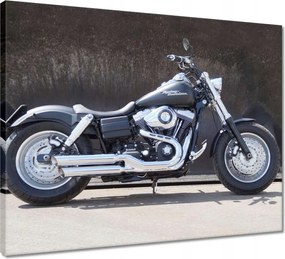 Vászonkép 50x40 Motor Harley Davidson