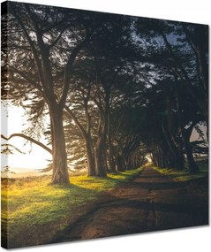 Vászonkép 30x30 Tájkép Látvány