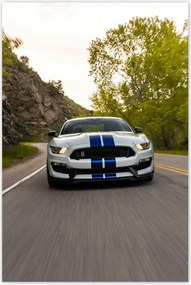 Poszterek 80x120 Ford Mustang Usa autó