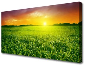 Vászonkép falra Wheat Field Sunrise 120x60 cm