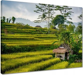 Vászonkép 50x40 Tájkép Látvány