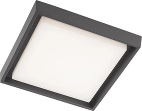 REDO 9187 BEZEL Modern Kültéri Mennyezeti Lámpa LED IP54