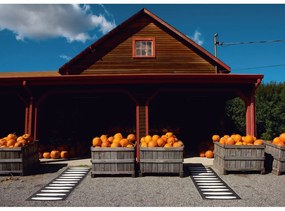 Fekete kültéri-beltéri futószőnyeg 70x150 cm Ella Black – Pappelina