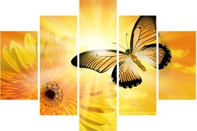 Kép - Sárga pillangó virággal (150x105 cm)