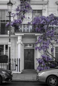 Poszter 68x101cm Ház a Portobello úton 2, Assaf Frank