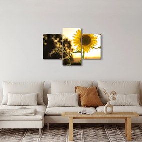 Napraforgó képe (90x60 cm)