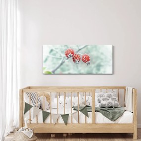 Fagyasztott csipkebogyó képe (120x50 cm)