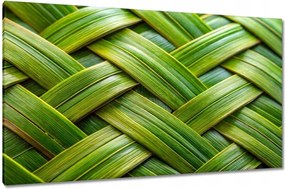 Vászonkép 120x70 Zöld fonott zöld rattan fonott lemez