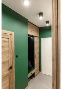 Lámpa Mennyezeti lámpatest DRAGO, max 60W, E27, AC220-240V, 50-60Hz, IP20, 172x180 mm, fekete