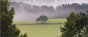 Egy kép a rétről egy fával (120x50 cm)