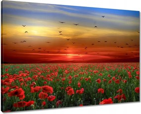 Vászonkép 70x50 Tájkép Látvány