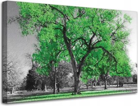 Vászonkép Fekete fák Zöld levelek Művészet 80x50 cm