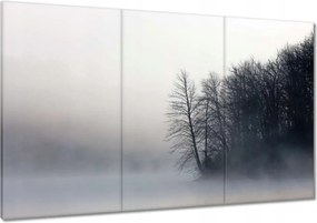Vászonkép 120x80 Ködös erdő Tél