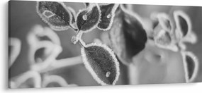 Kép - Őszi természet (120x50 cm)