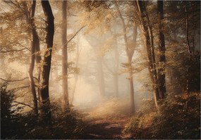 Fotótapéta Erdő Fák Természet Hálószoba Nappali Tapéta Flizelina 400x280