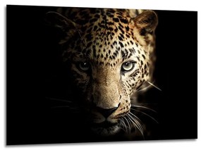 Üveg kép 70x100 cm Leopard - Styler
