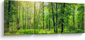 Kép - Tavaszi lomberdő (órával) (90x30 cm)