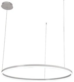 LED dimmelhető csillár zsinóron LED/55W/230V 3000-6500K + távirányítás