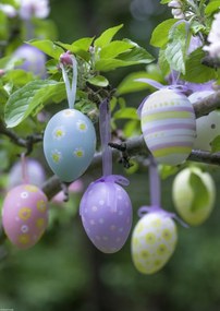 Poszter 29,7x42cm Húsvéti tojások lógnak az ágakon 3, Assaf Frank