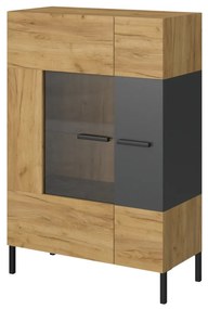 Vitrin Shanna (arany craft tölgy + antracit). 1053227