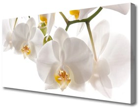 Vászonkép falra Orchidea virágok Természet 100x50 cm