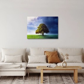 Kép - Éjjel - nappal (70x50 cm)