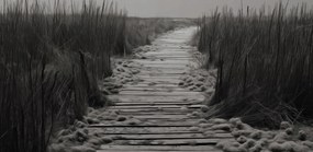 Poszter 91,3x44,5cm A csend ösvénye Dűnék