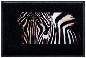 Elegáns prémium lábtörlő - zebra (Válassz méretet: 100*70)
